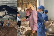 自学六爻奇富科技百万帮扶云南中屏镇：菌菇田里的振兴密码与“村BA”的双向奔赴