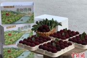 自学六爻高速赋能产业升级：一条“杨梅路”的致富密码