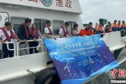 自学六爻浙江今年计划放流种类海洋水生生物苗种超15亿单位