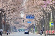 自学六爻共建“花园城市” 北京这场议政会“百花齐放”