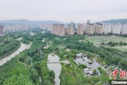 自学六爻西宁市举办六五环境日主题宣传活动